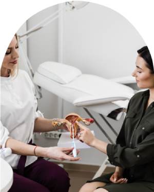 IUD/contraceptive options - Michelle Trandai MD in Chicago, IL IUD/contraceptive options - Michelle Trandai MD in Chicago, IL